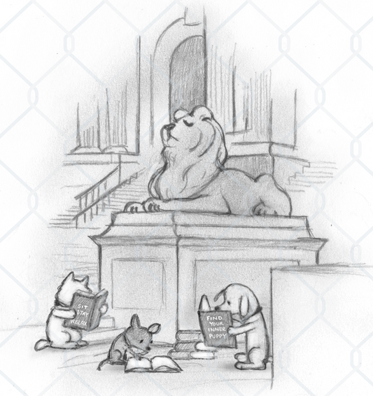 Kristin Doney Library Lion Sketch